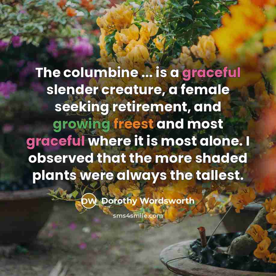 “The columbine ... is a graceful slender creature, a female…” quote by Dorothy Wordsworth