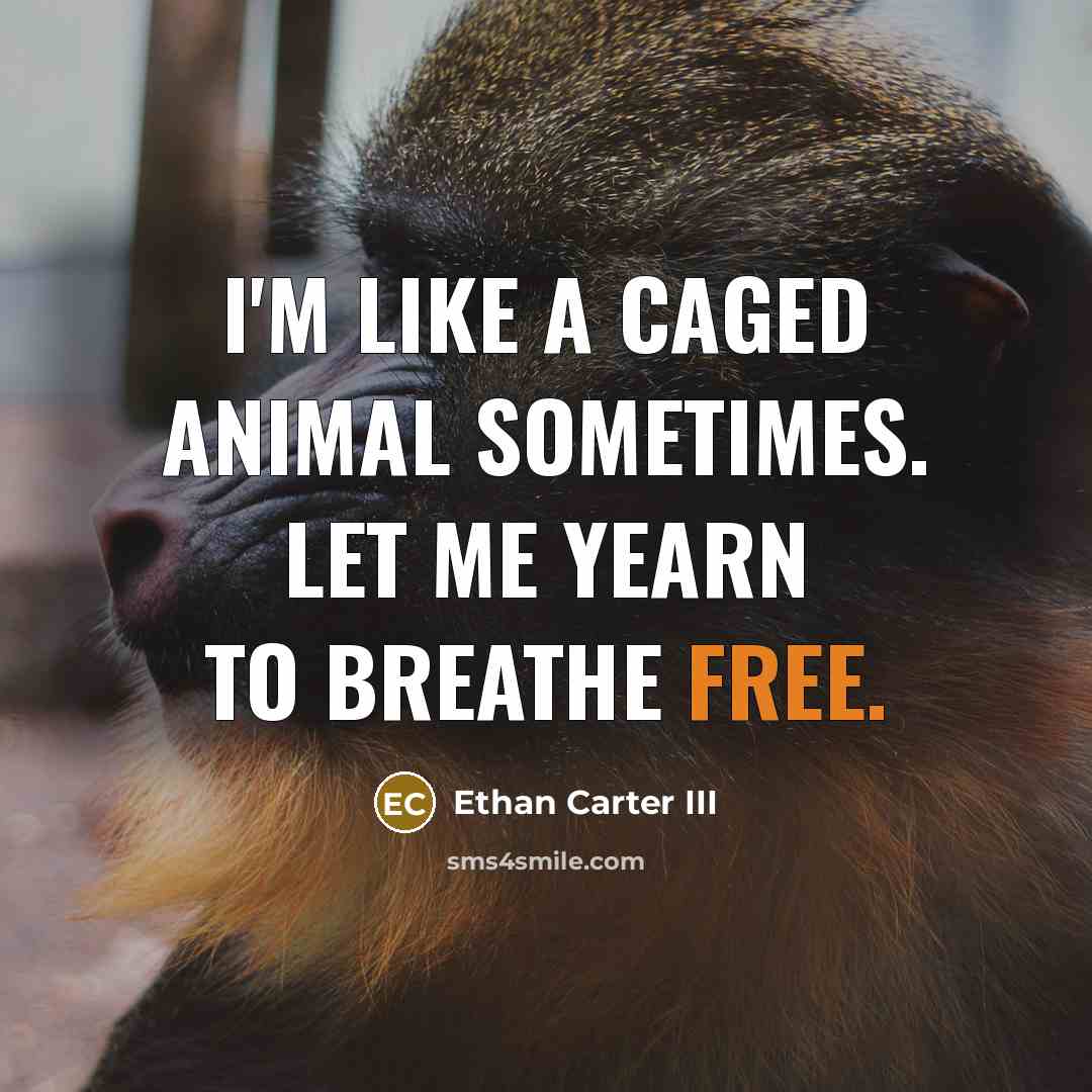 “I'm like a caged animal sometimes. Let me yearn to…” quote by Ethan Carter III