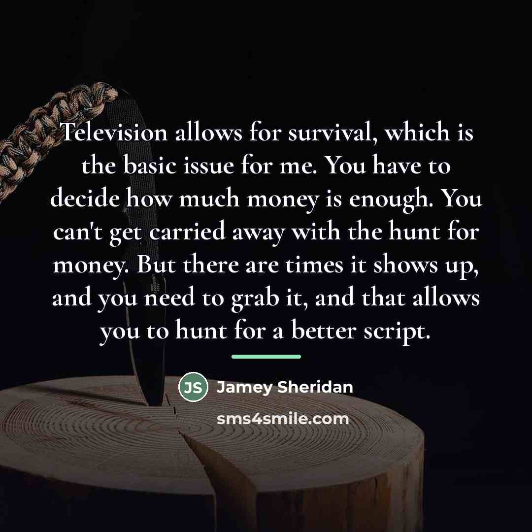“Television allows for survival, which is the basic issue for…” quote by Jamey Sheridan