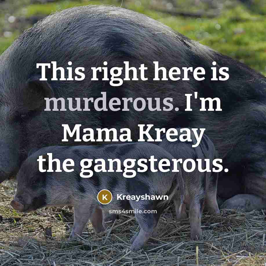 “This right here is murderous. I'm Mama Kreay the gangsterous.” quote by Kreayshawn