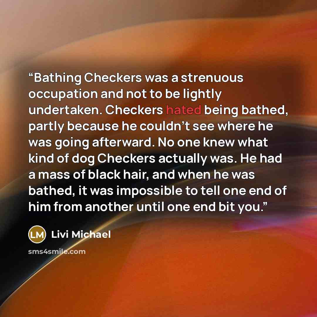 “Bathing Checkers was a strenuous occupation and not to be lightly undertaken. Checkers hated being bathed, partly because he couldn't see where he was going afterward. No one knew what kind of dog Checkers actually was. He had a mass of black hair, and when he was bathed, it was impossible to tell…” quote by Livi Michael