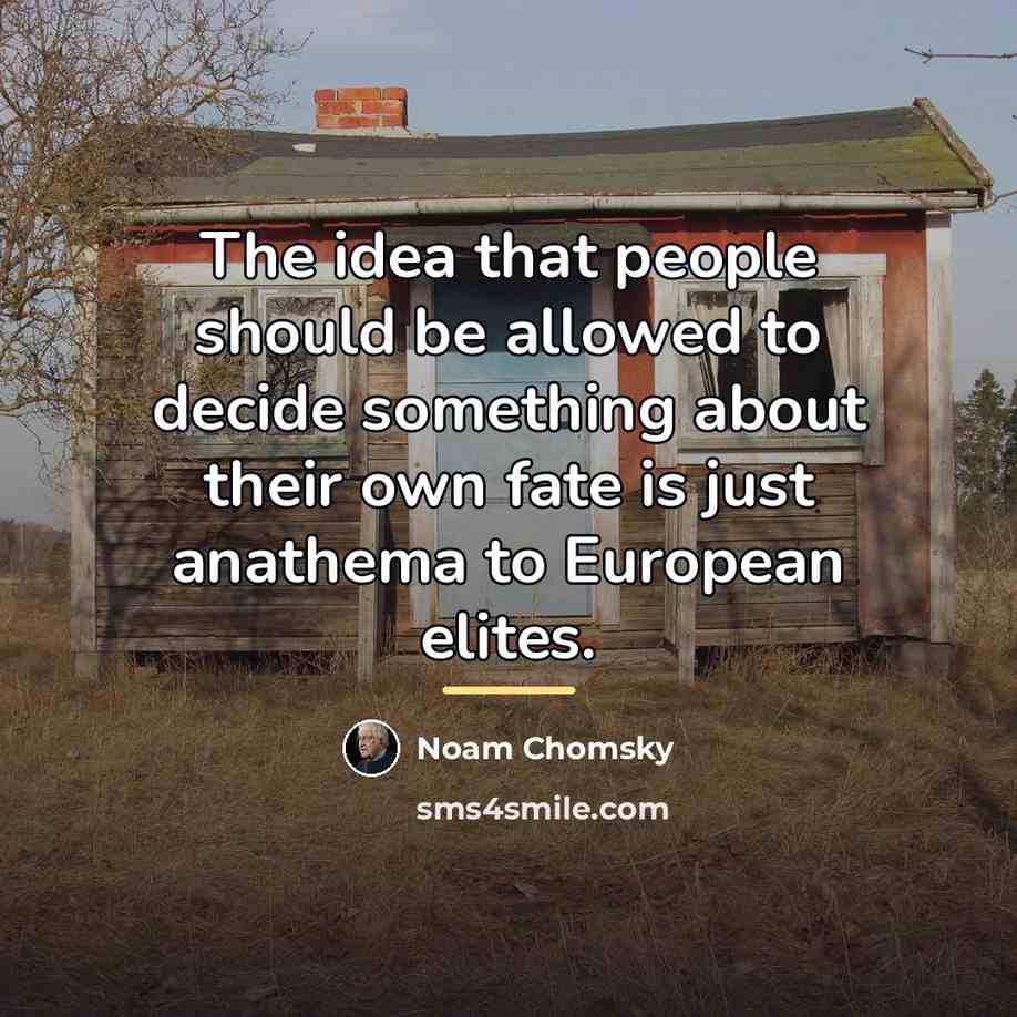 “The idea that people should be allowed to decide something…” quote by Noam Chomsky