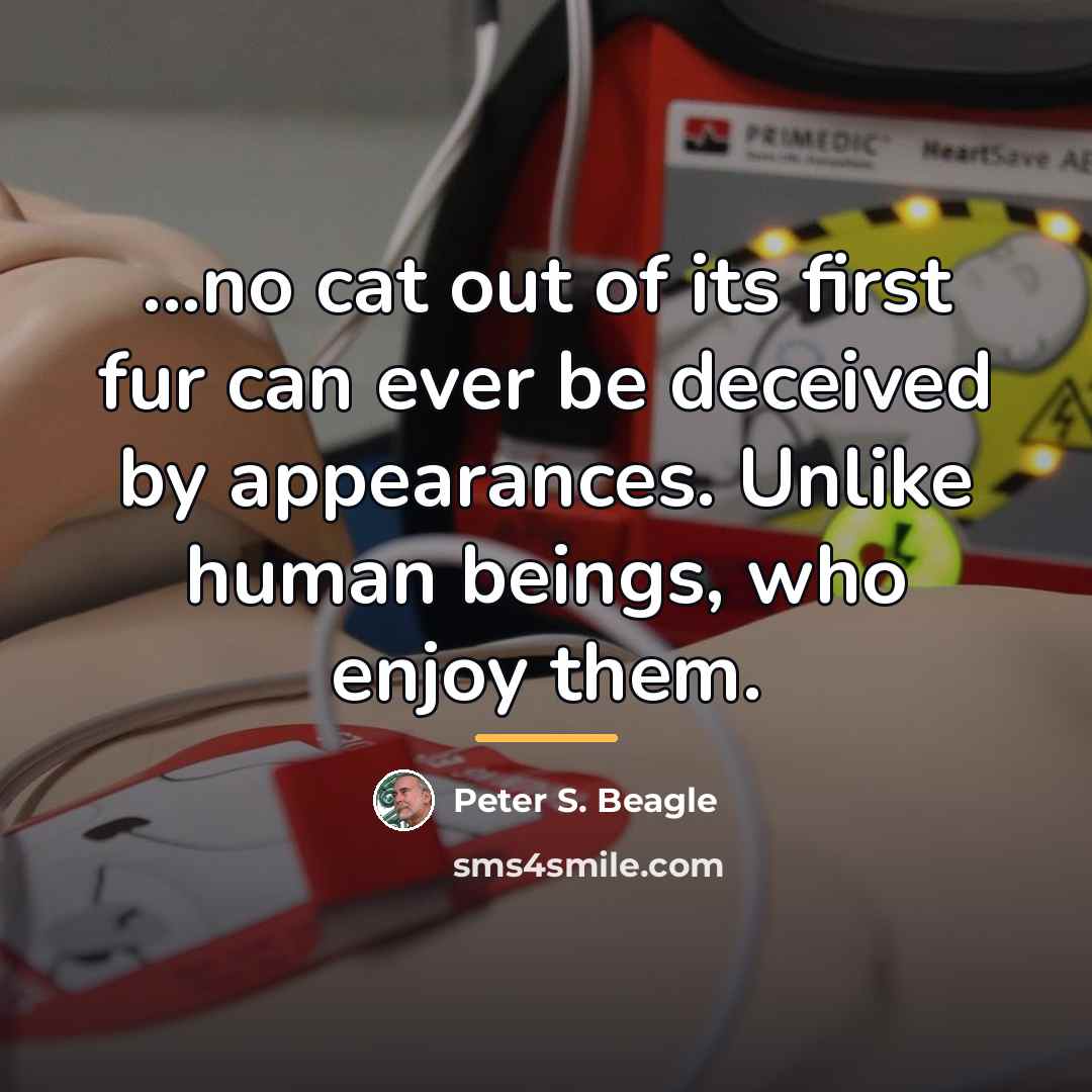 “...no cat out of its first fur can ever be…” quote by Peter S. Beagle
