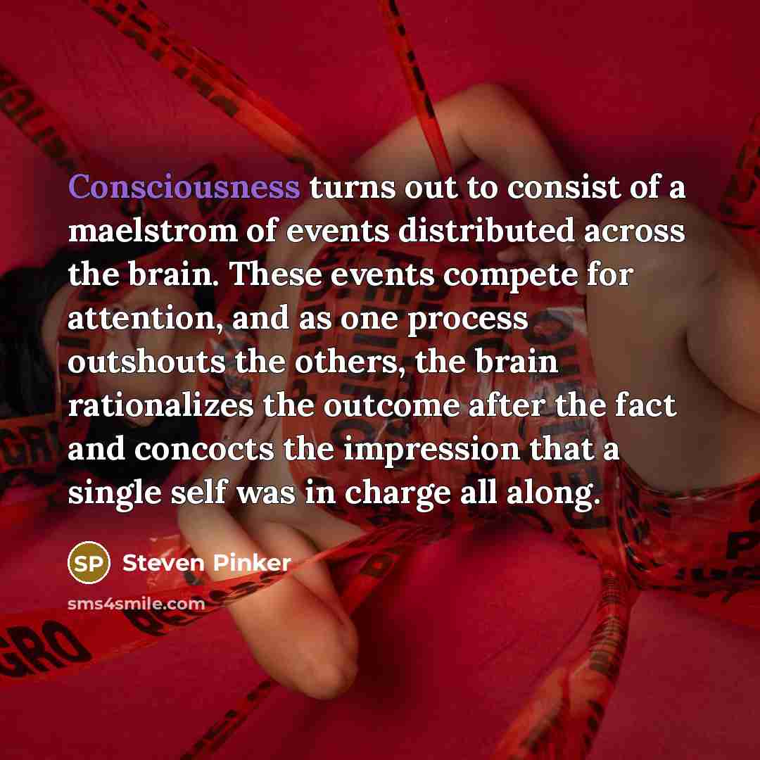 “Consciousness turns out to consist of a maelstrom of events…” quote by Steven Pinker