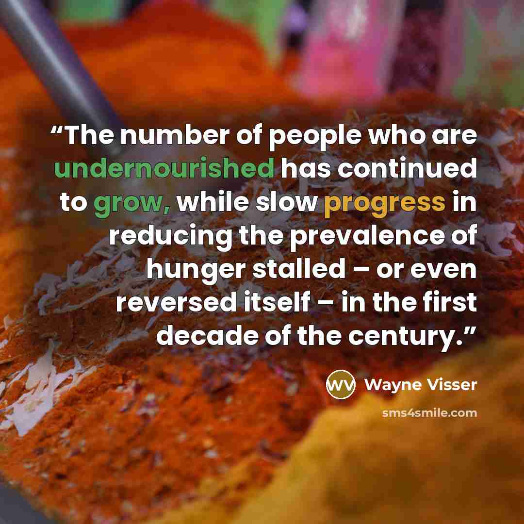 “The number of people who are undernourished has continued to grow, while slow progress in reducing the prevalence of hunger stalled – or even reversed itself – in the first decade of the century.” quote by Wayne Visser