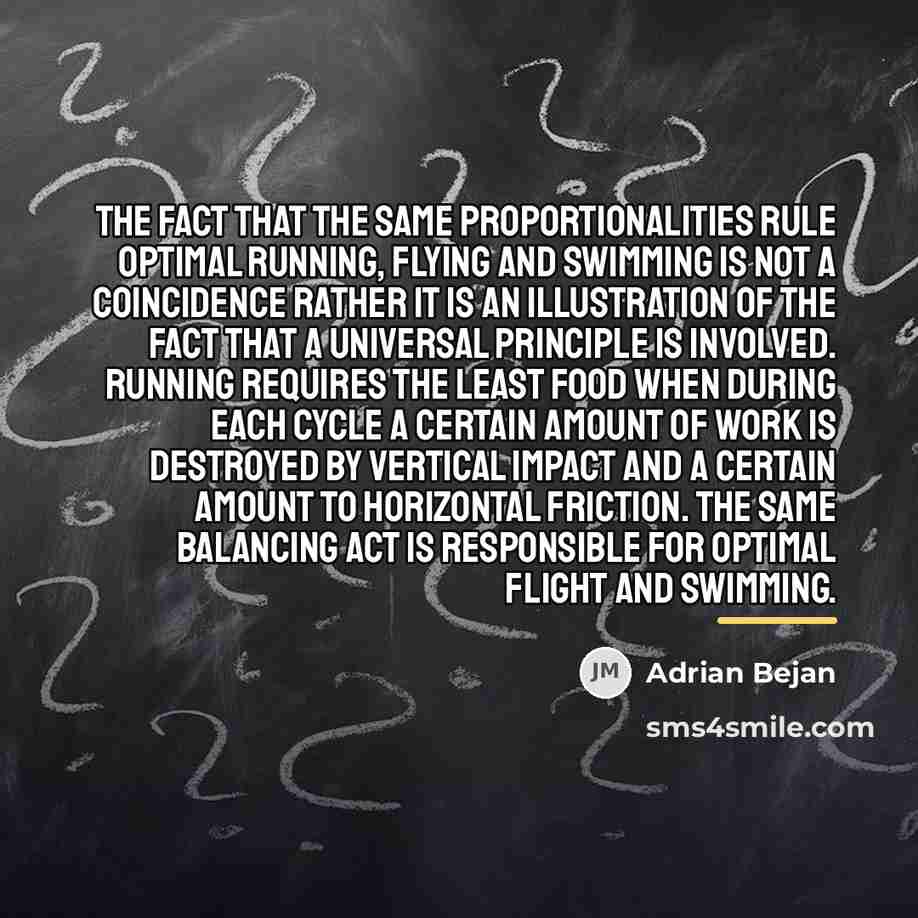 “The fact that the same proportionalities rule optimal running, flying…” quote by Adrian Bejan