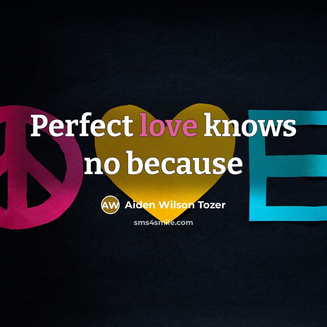 “Perfect love knows no because…” quote by Aiden Wilson Tozer