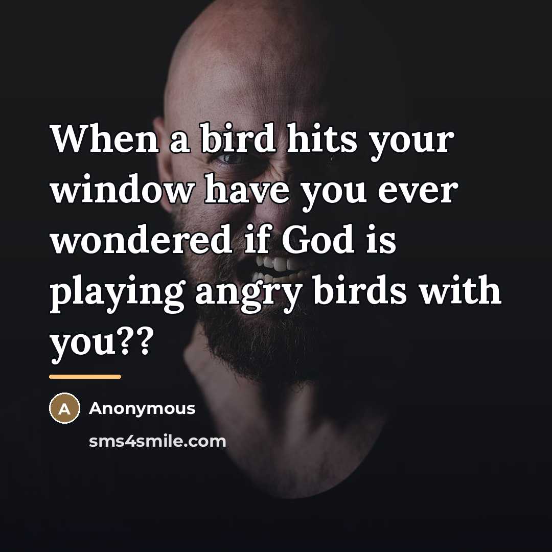 “When a bird hits your window have you ever wondered…” quote by Anonymous