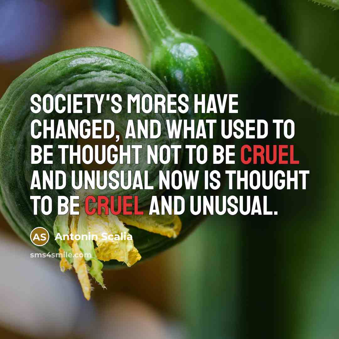 “Society's mores have changed, and what used to be thought…” quote by Antonin Scalia