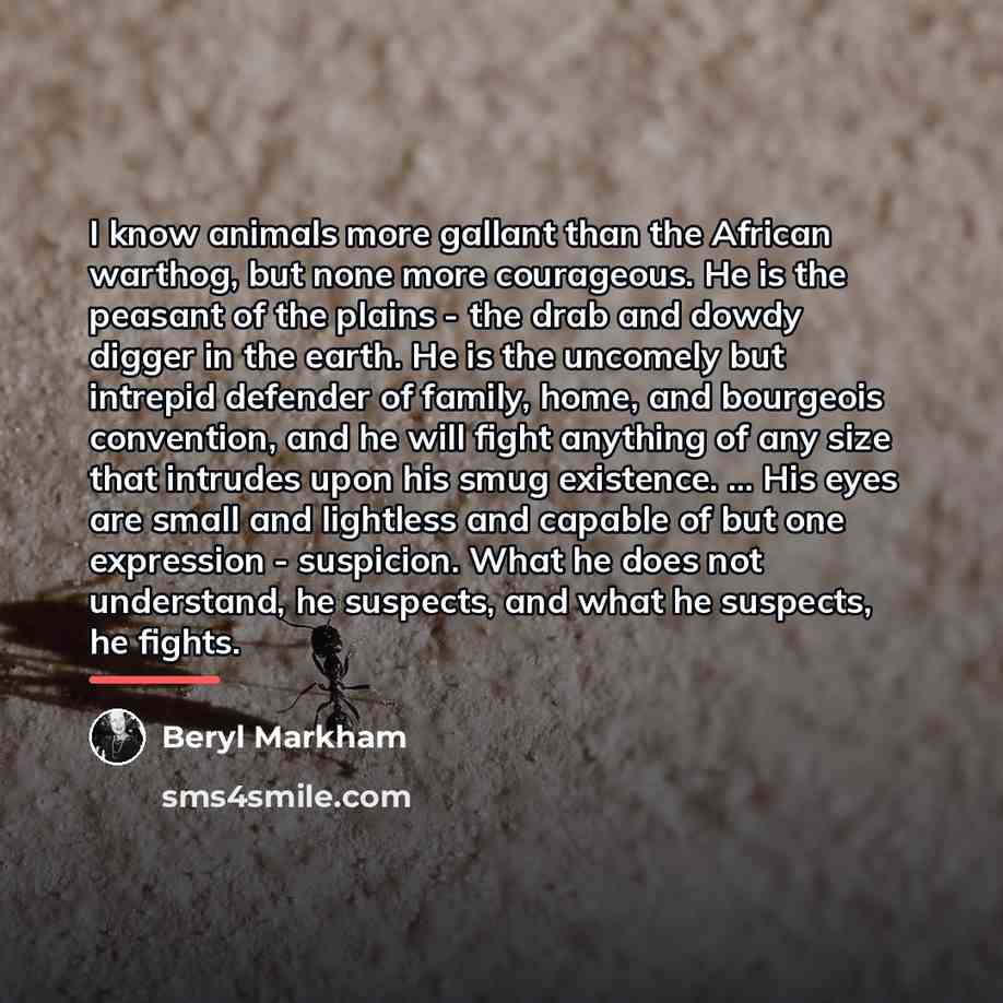 “I know animals more gallant than the African warthog, but…” quote by Beryl Markham