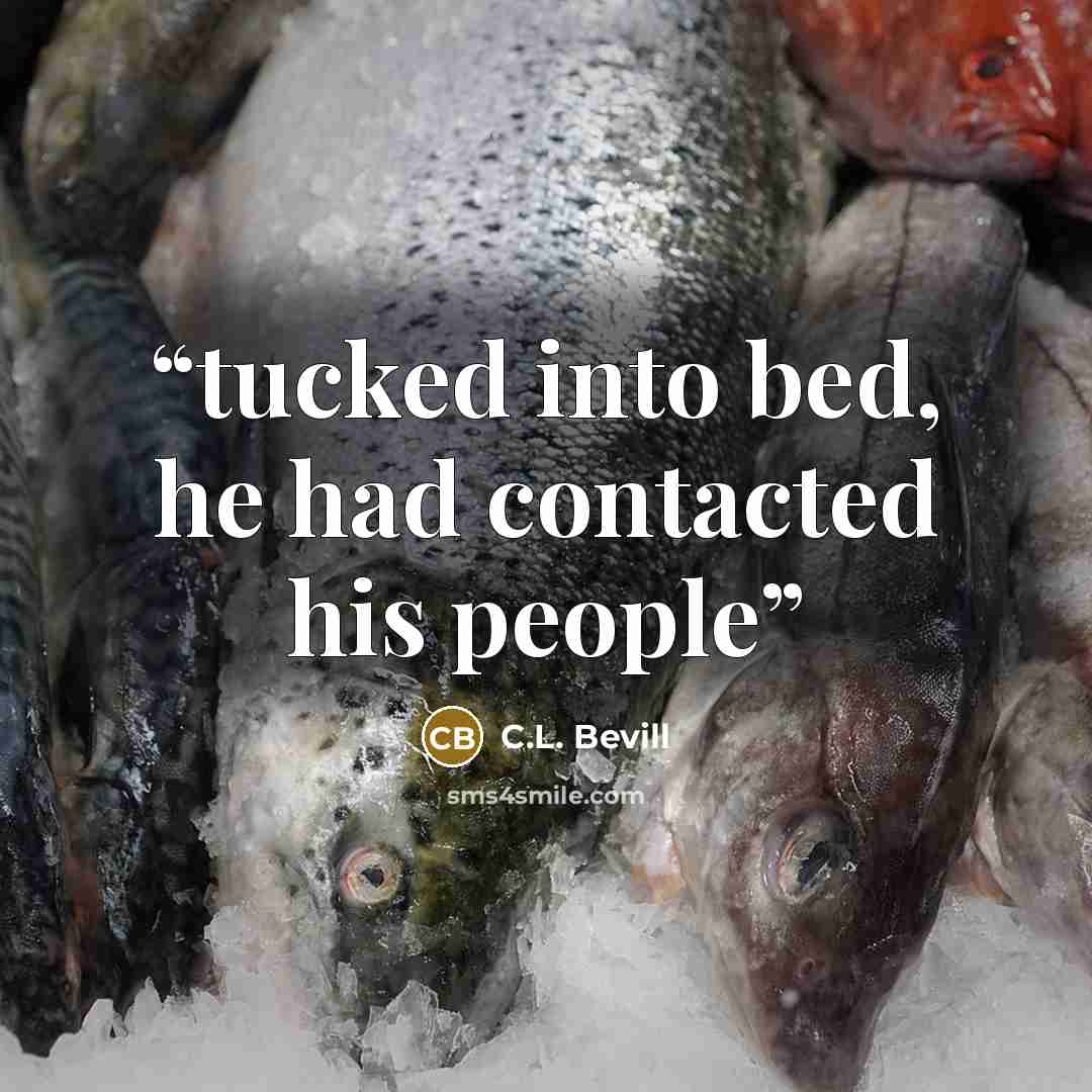 “tucked into bed, he had contacted his people” quote by C.L. Bevill