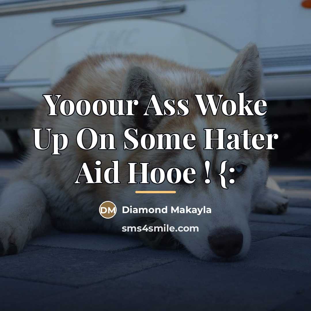 “Yooour Ass Woke Up On Some Hater Aid Hooe !…” quote by Diamond Makayla