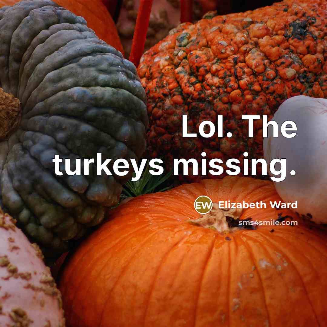 “Lol. The turkeys missing.” quote by Elizabeth Ward