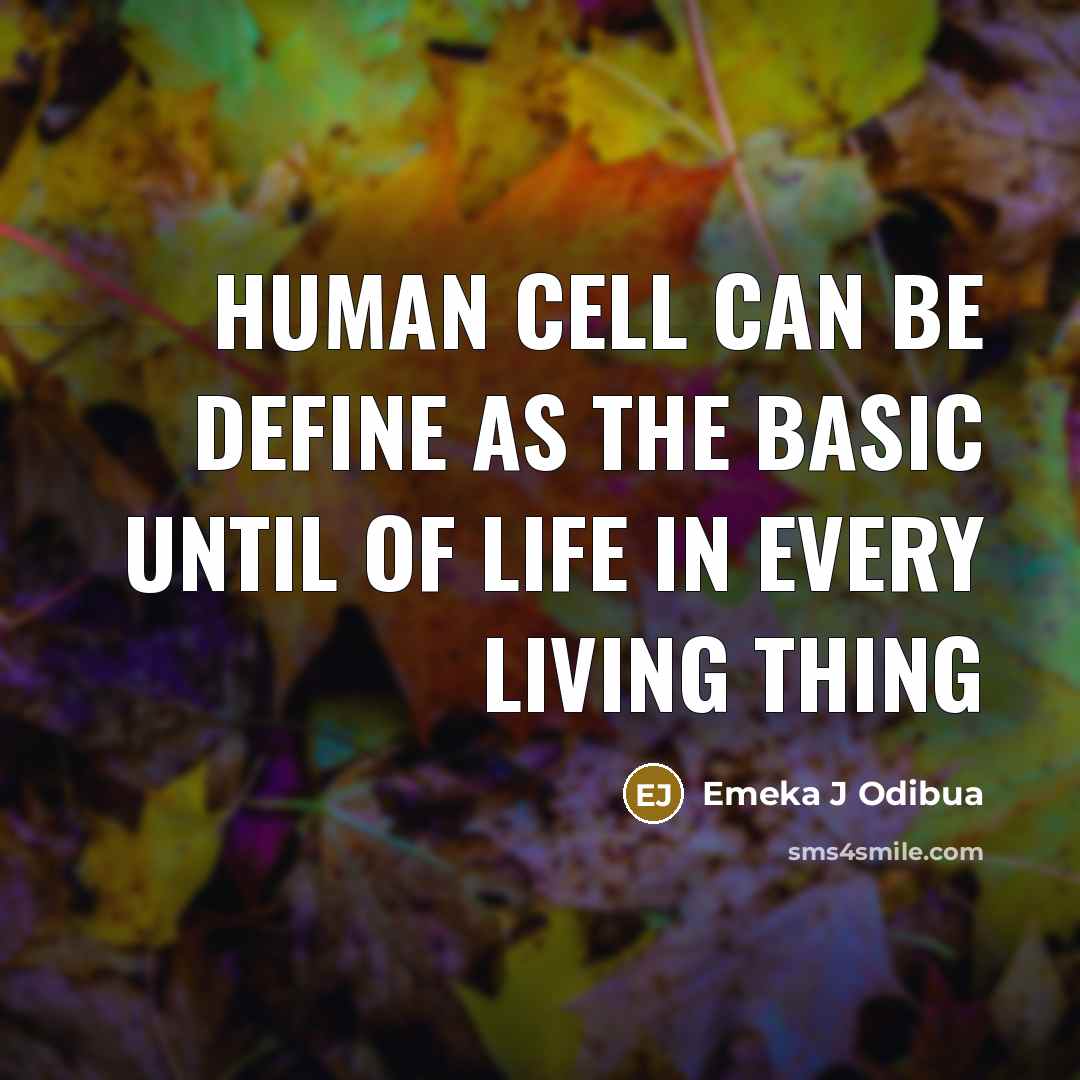 “Human Cell can be define as the basic until of life in every living thing” quote by Emeka J Odibua
