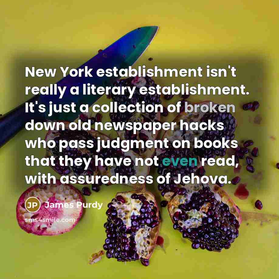 “New York establishment isn't really a literary establishment. It's just…” quote by James Purdy
