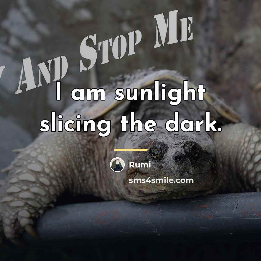 “I am sunlight slicing the dark.…” quote by Rumi
