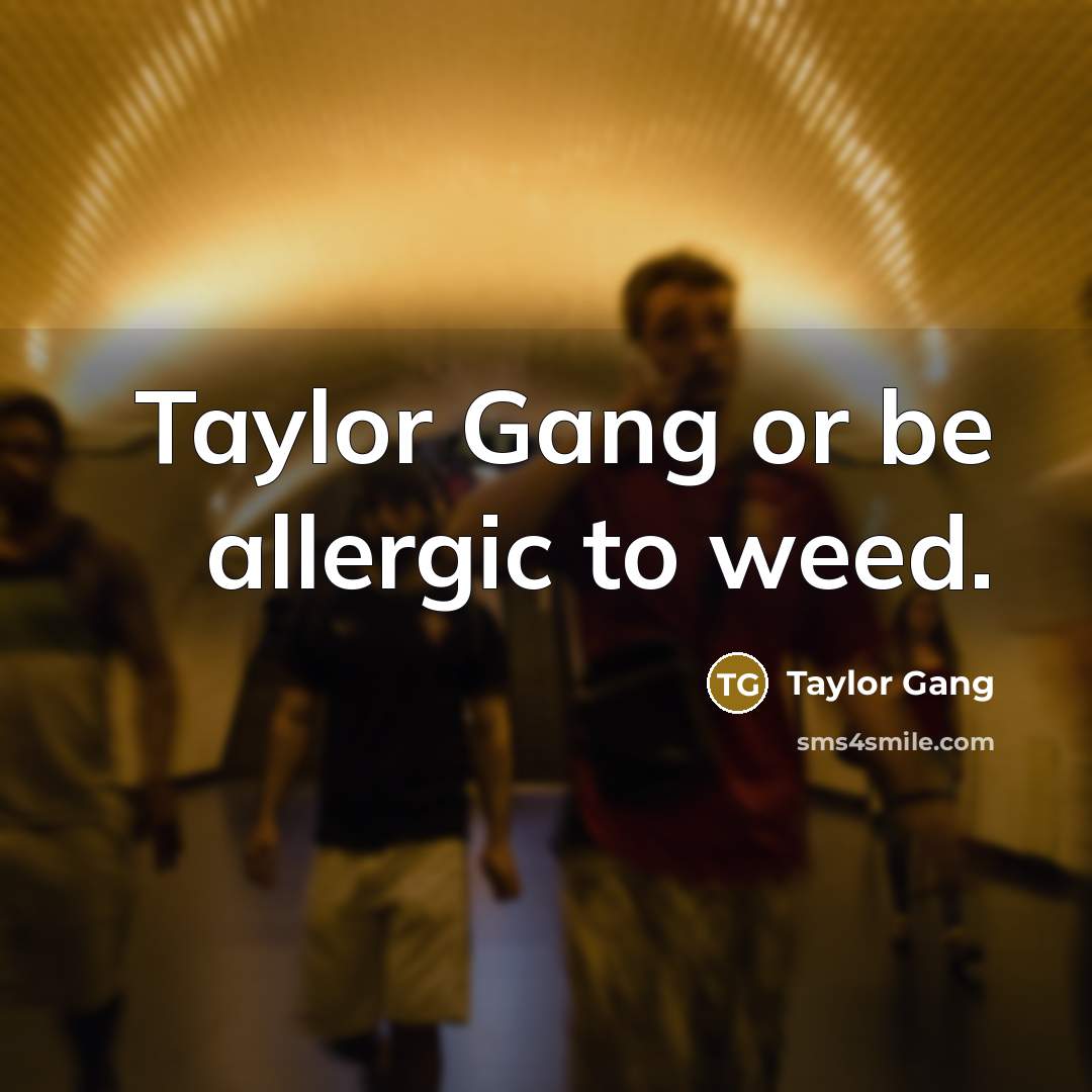 “Taylor Gang or be allergic to weed.…” quote by Taylor Gang