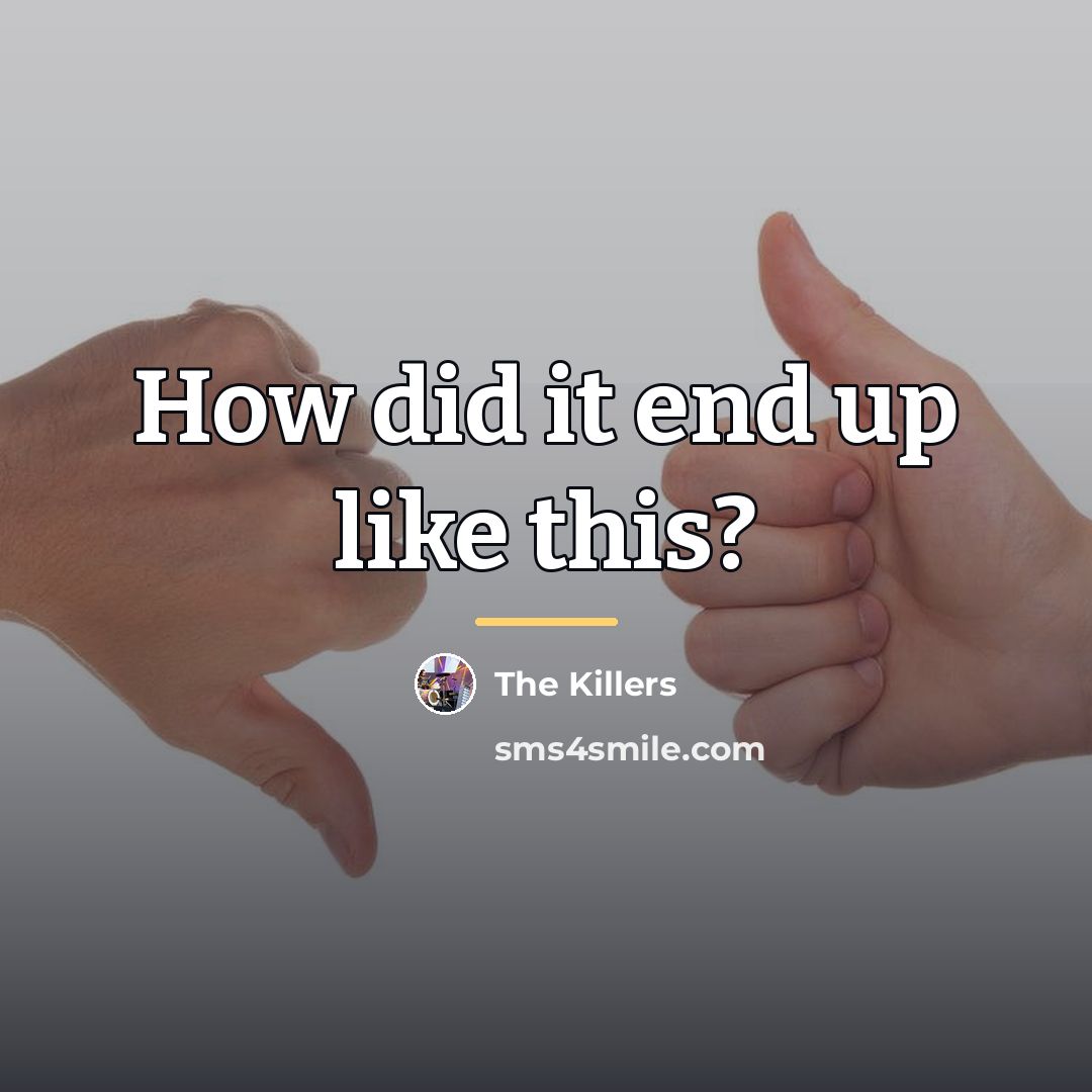 “How did it end up like this?…” quote by The Killers