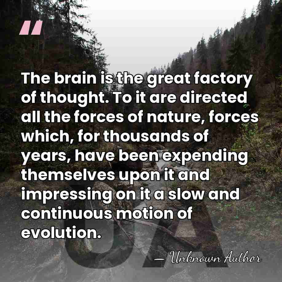 The brain is the great factory of thought. To it are directed&hellip; - Unknown Author