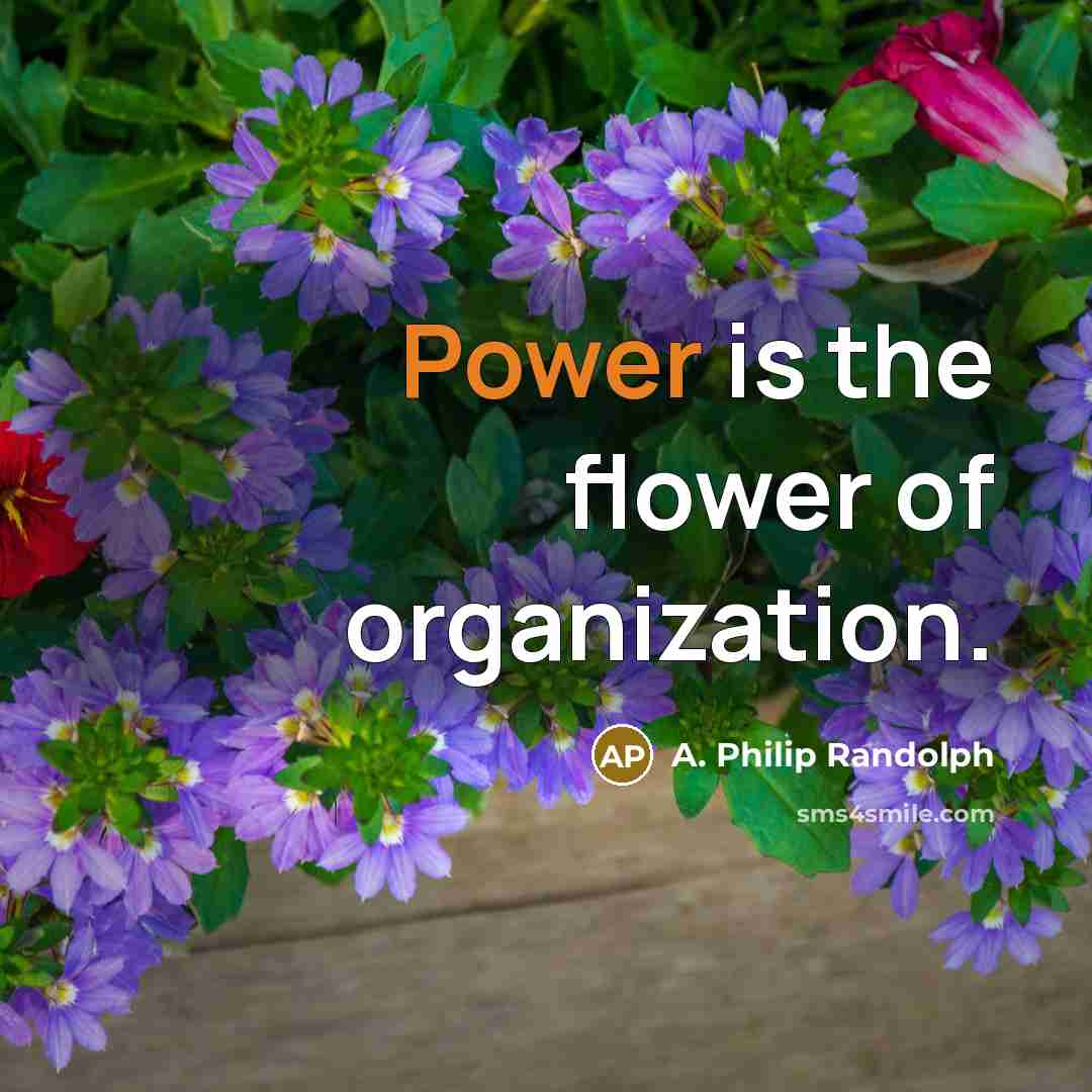“Power is the flower of organization.…” quote by A. Philip Randolph