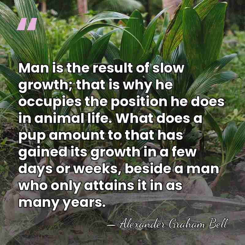 Man is the result of slow growth; that is why he occupies&hellip; - Alexander Graham Bell