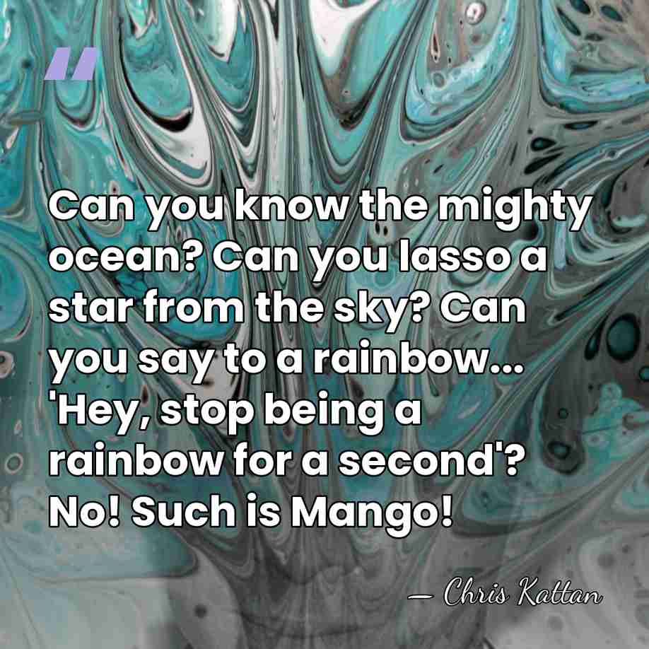 Can you know the mighty ocean? Can you lasso a star from&hellip; - Chris Kattan