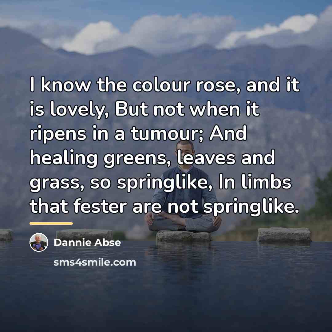 “I know the colour rose, and it is lovely, But…” quote by Dannie Abse