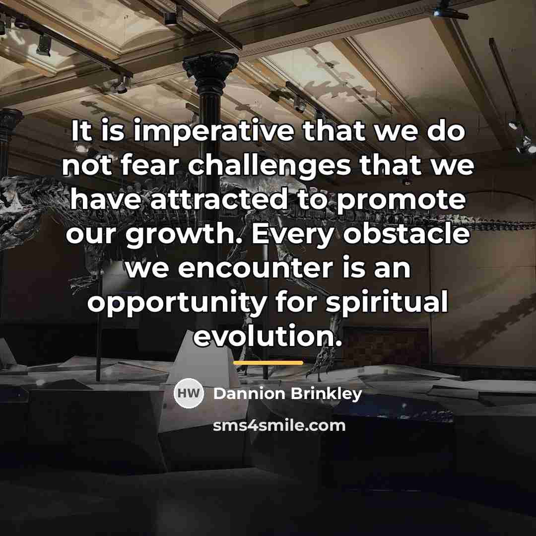 “It is imperative that we do not fear challenges that…” quote by Dannion Brinkley