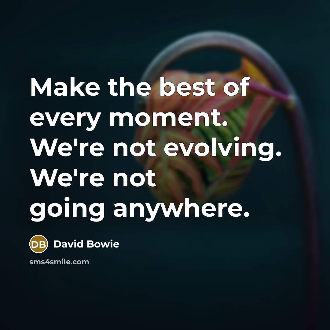 “Make the best of every moment. We're not evolving. We're…” quote by David Bowie