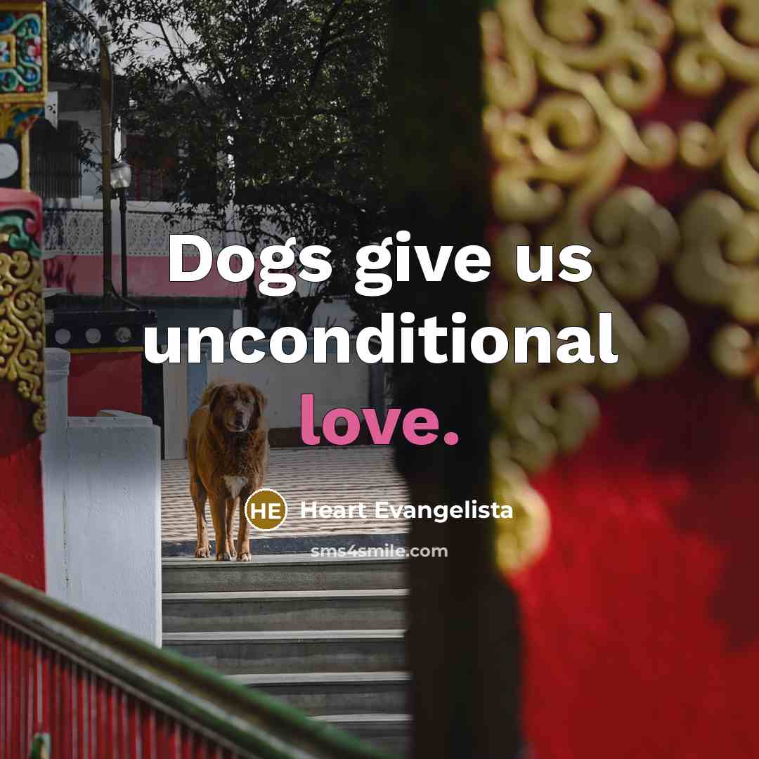 “Dogs give us unconditional love.…” quote by Heart Evangelista