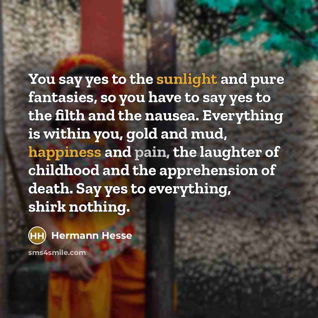 “You say yes to the sunlight and pure fantasies, so…” quote by Hermann Hesse
