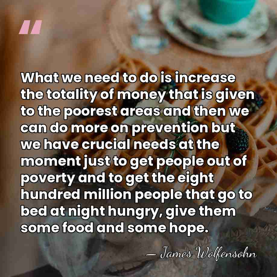 What we need to do is increase the totality of money that&hellip; - James Wolfensohn