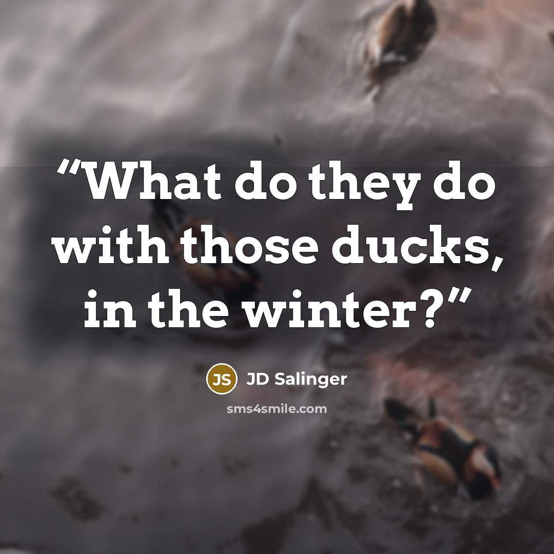“What do they do with those ducks, in the winter?” quote by JD Salinger