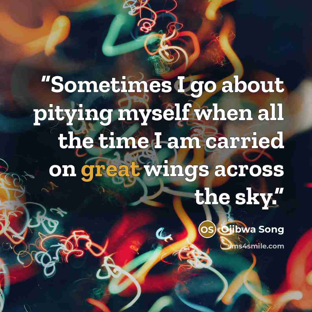 “Sometimes I go about pitying myself when all the time I am carried on great wings across the sky.” quote by Ojibwa Song