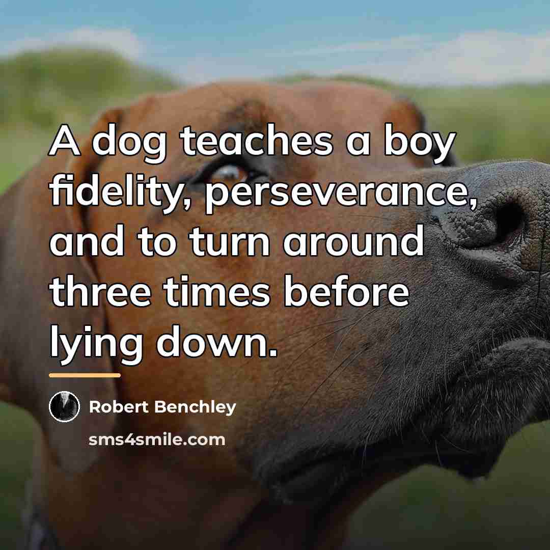 “A dog teaches a boy fidelity, perseverance, and to turn…” quote by Robert Benchley