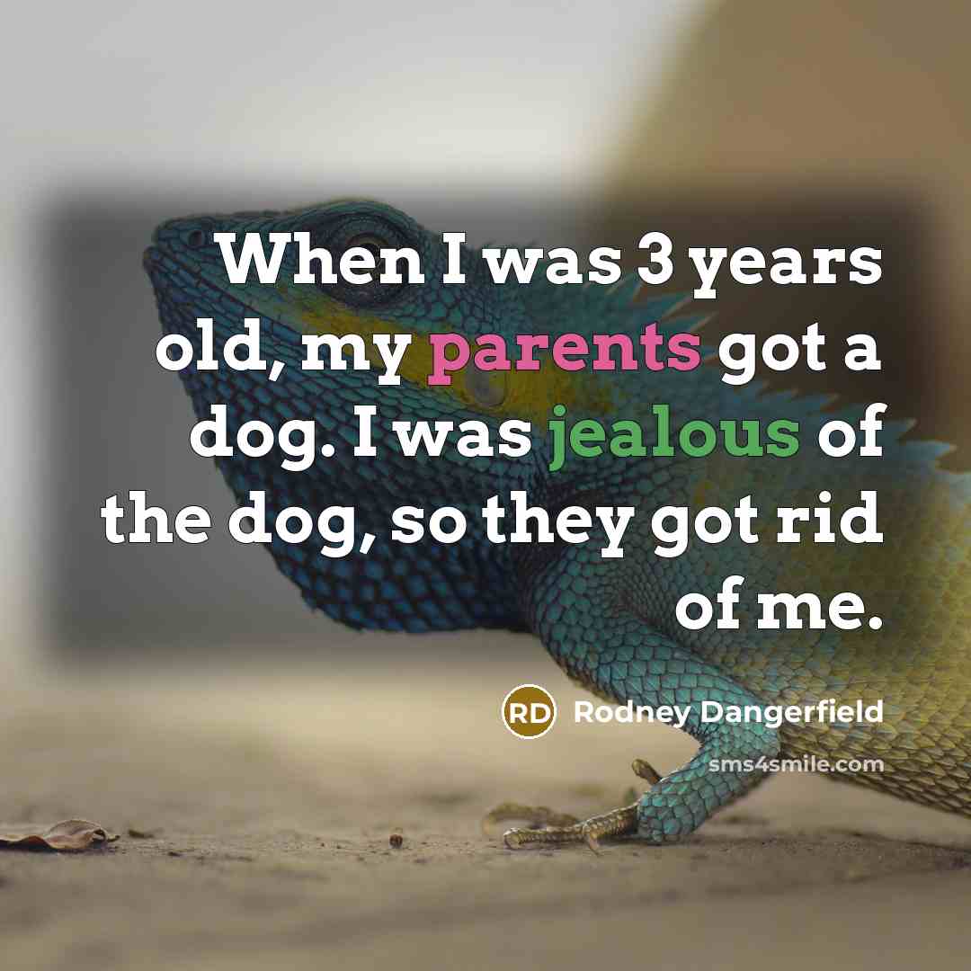 “When I was 3 years old, my parents got a dog. I was jealous of the dog, so they got rid of me.” quote by Rodney Dangerfield