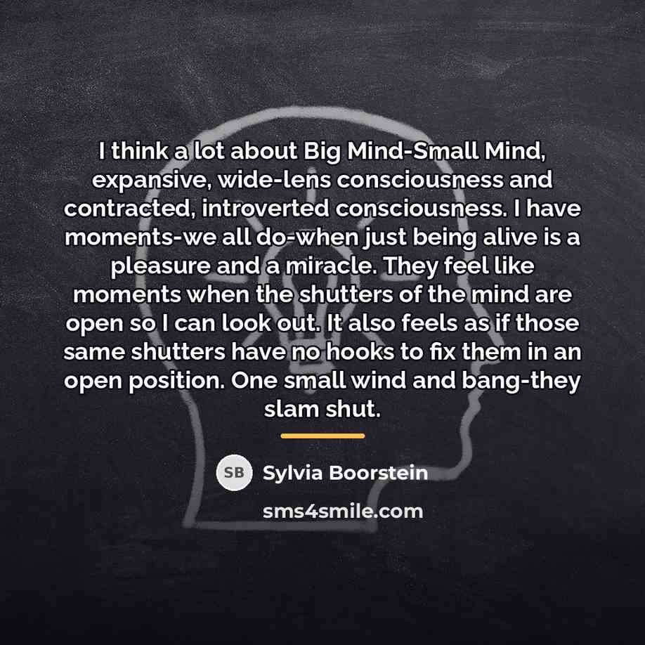 “I think a lot about Big Mind-Small Mind, expansive, wide-lens…” quote by Sylvia Boorstein