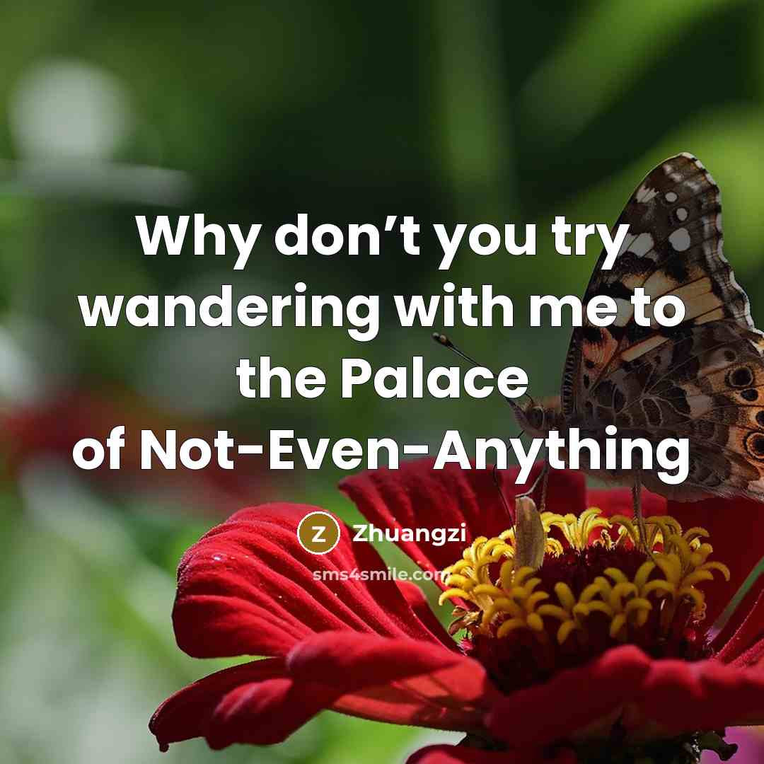 “Why don’t you try wandering with me to the Palace…” quote by Zhuangzi