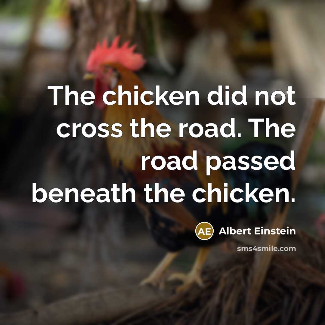 “The chicken did not cross the road. The road passed…” quote by Albert Einstein
