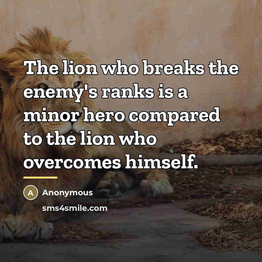 “The lion who breaks the enemy's ranks is a minor…” quote by Anonymous