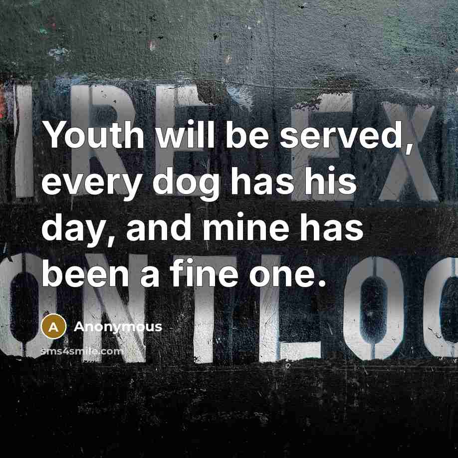 “Youth will be served, every dog has his day, and…” quote by Anonymous