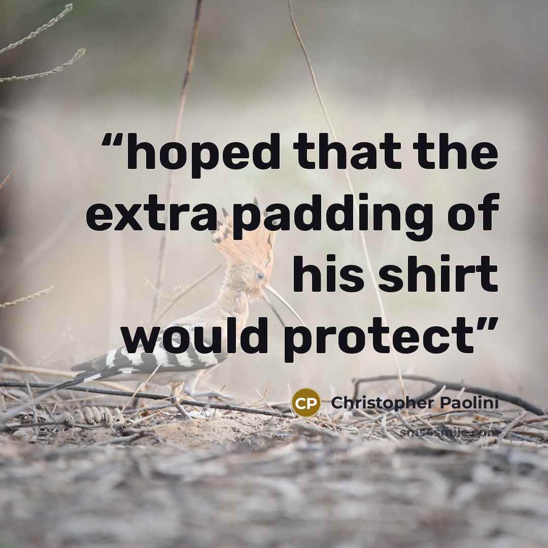 “hoped that the extra padding of his shirt would protect” quote by Christopher Paolini