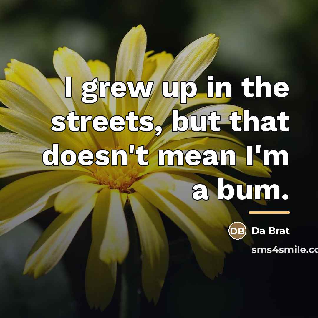 “I grew up in the streets, but that doesn't mean…” quote by Da Brat