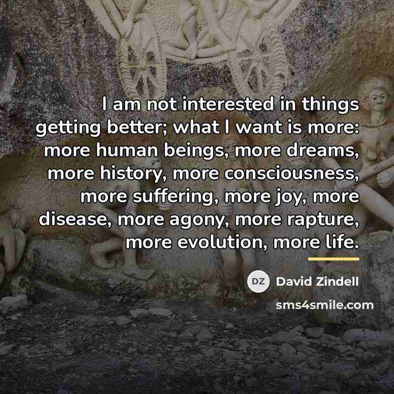 “I am not interested in things getting better; what I…” quote by David Zindell