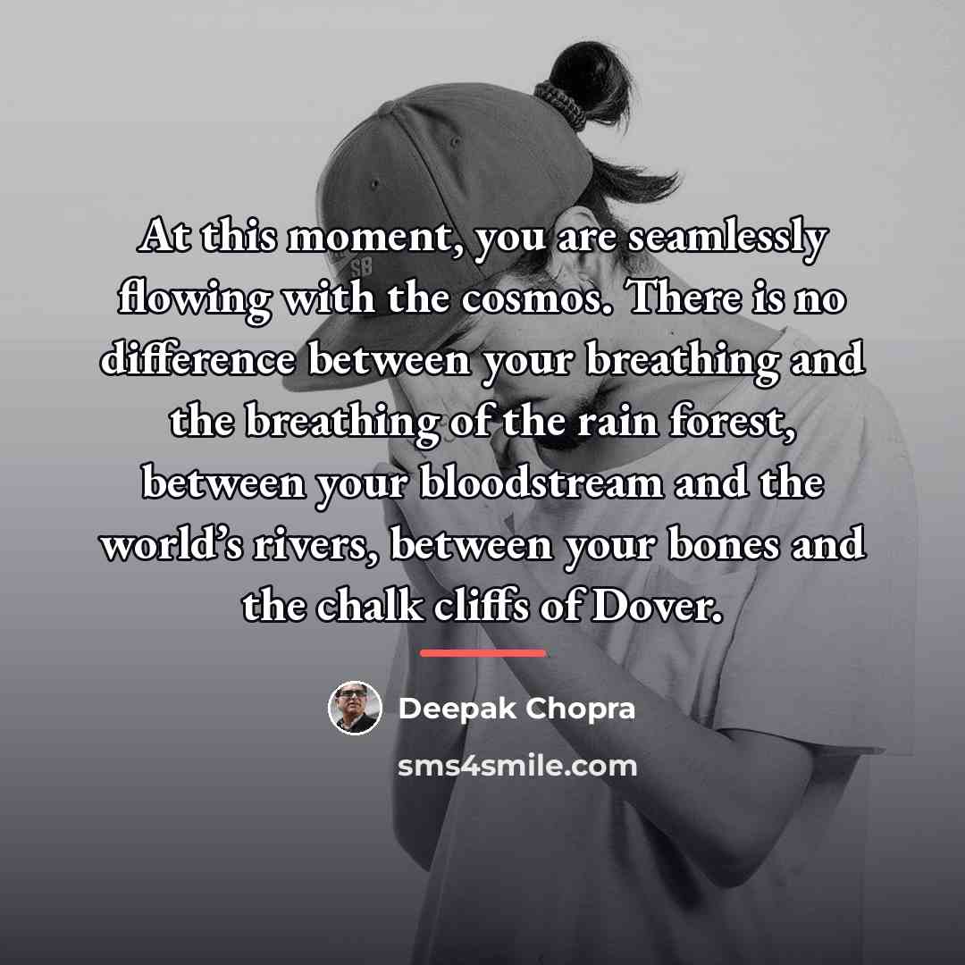 “At this moment, you are seamlessly flowing with the cosmos.…” quote by Deepak Chopra