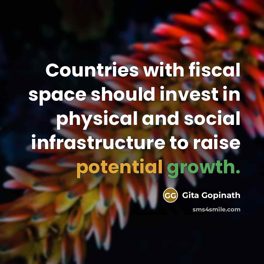 “Countries with fiscal space should invest in physical and social…” quote by Gita Gopinath