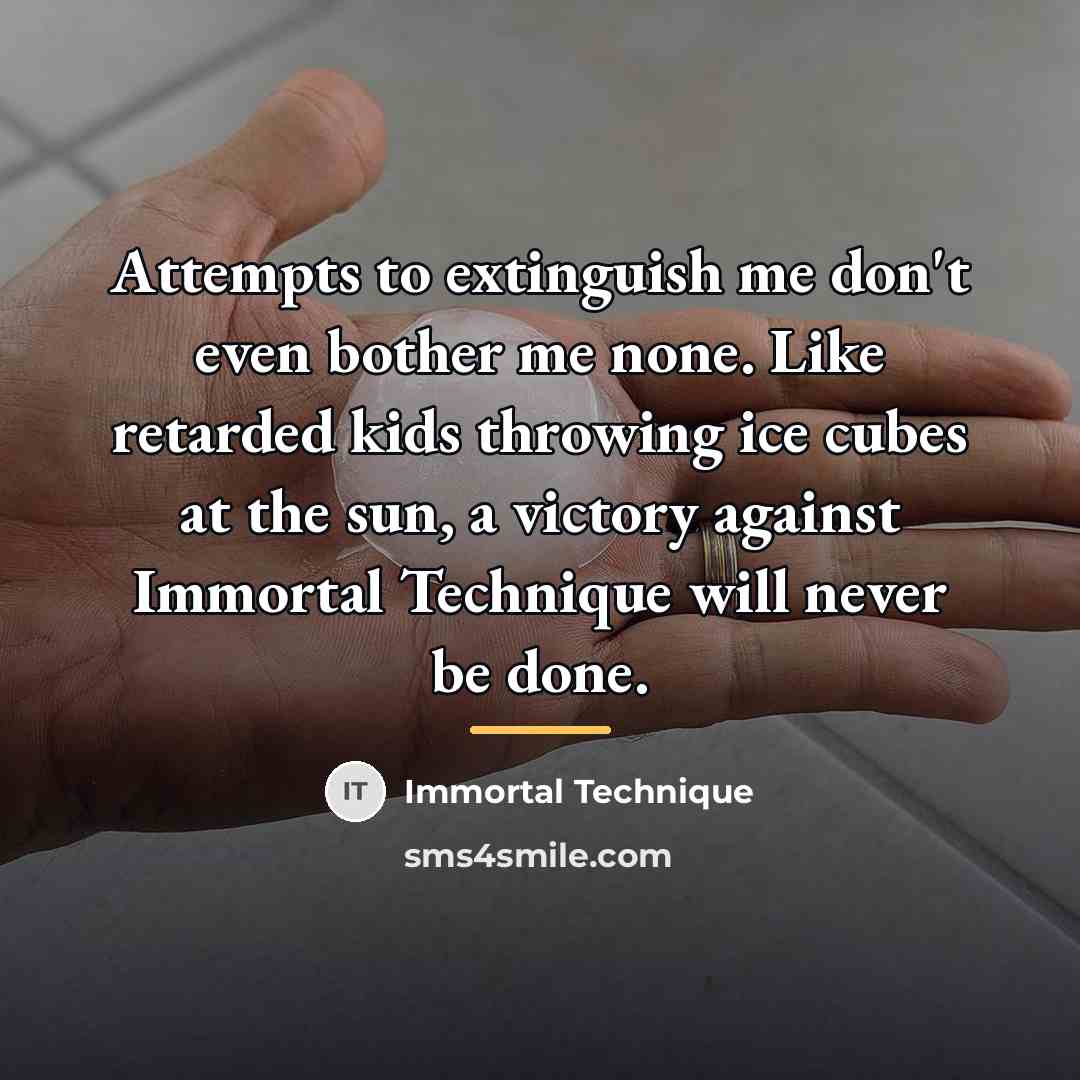 “Attempts to extinguish me don't even bother me none. Like…” quote by Immortal Technique
