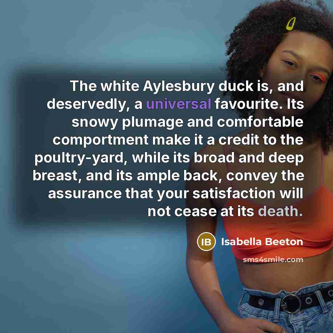 “The white Aylesbury duck is, and deservedly, a universal favourite.…” quote by Isabella Beeton