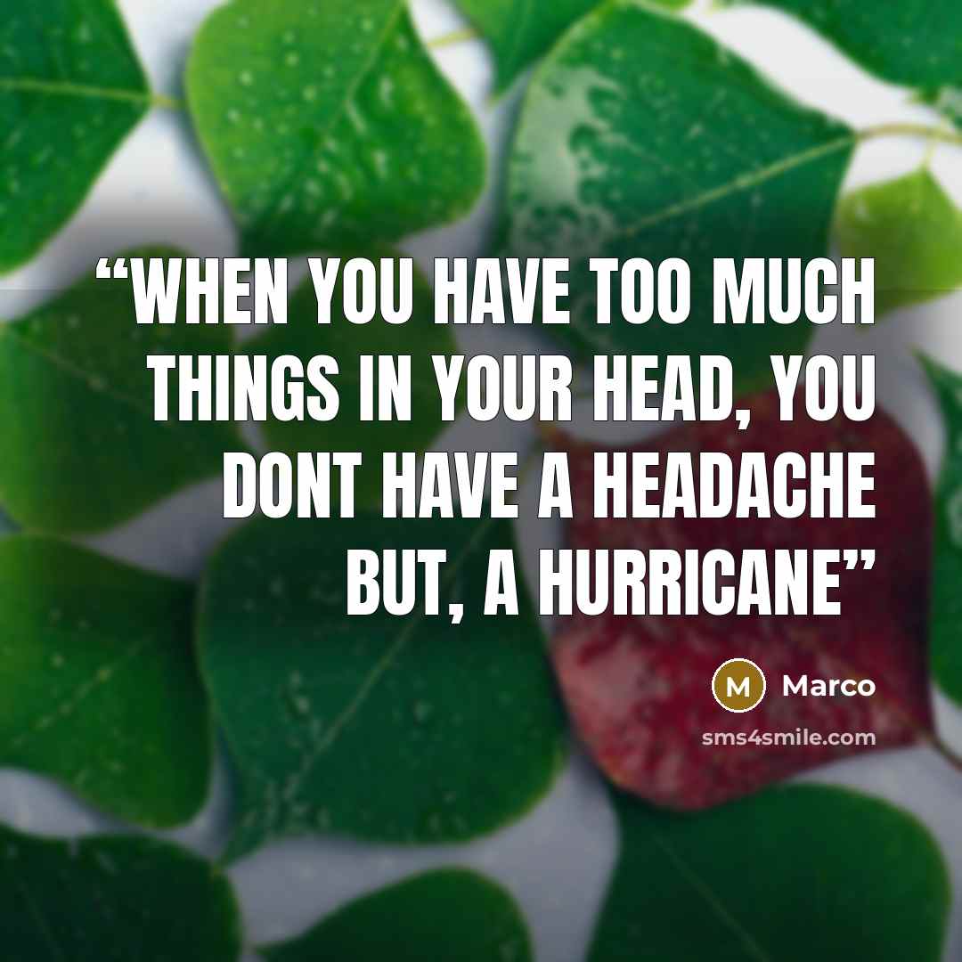 “When you have too much things in your head, you dont have a headache but, a hurricane” quote by Marco