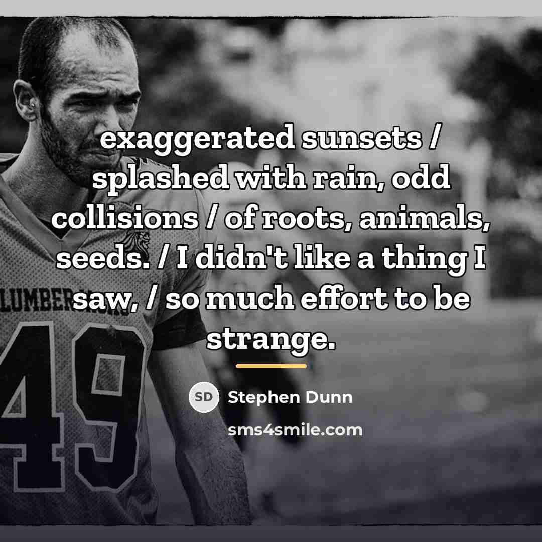 “exaggerated sunsets / splashed with rain, odd collisions / of…” quote by Stephen Dunn